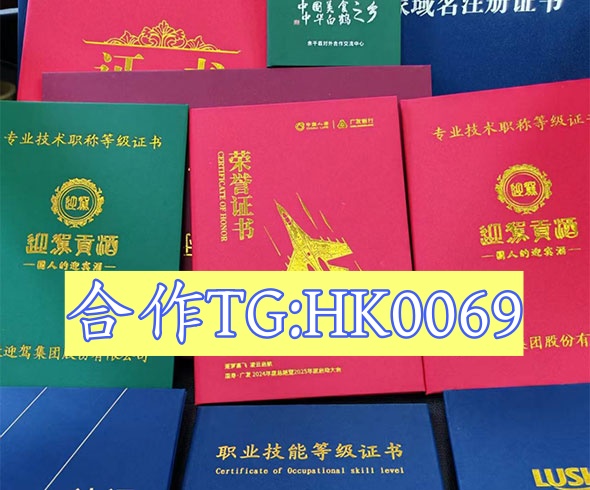 24小时证件网